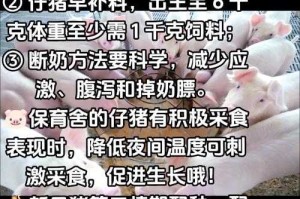 人猪配速120分钟：高效养殖技术与时间管理策略