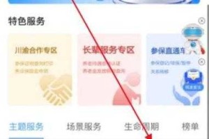 城乡居民养老保险网上申请全流程指南