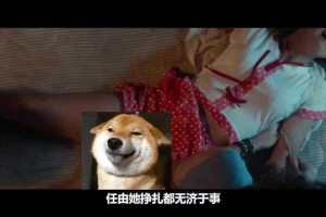 人皮交易完整版高清在线观看-真实案件改编惊悚电影