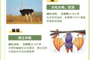 揭秘会夏眠也会冬眠的动物：自然界中的双重休眠者