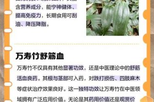 万年竹花：寓意、养殖技巧与观赏价值全解析