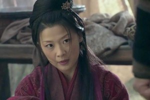 三国之蜀汉我做主：蔡夫人的权谋与传奇