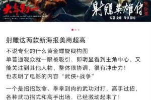 一飞冲天蓝本：打造成功案例的终极指南