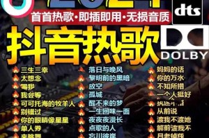 2025车载DJ劲爆MV市场技术升级趋势