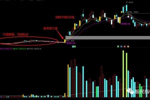 一波流主图指标解析：高效选股策略与实战应用技巧