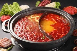 2025牛百叶涮火锅解剖图解与选购指南