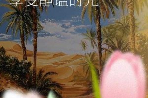 适合一个人看流水的书：流淌在文字间的静谧时光