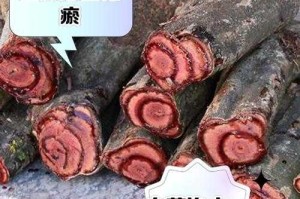 万灵血珠是什么？揭秘万灵血珠的来历与作用