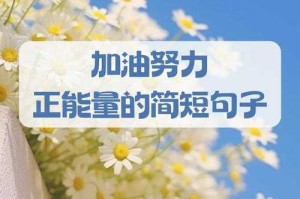 新月直播：“这才是真正的勇气与坚持！”