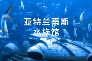 三亚亚特兰蒂斯死亡事件最新进展：溺亡事故与安全警示