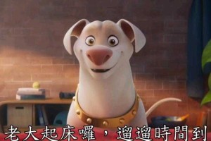DC超级宠物联盟什么时候正式开播？有剧透吗？DC超级宠物联盟怎么免费看完整版？