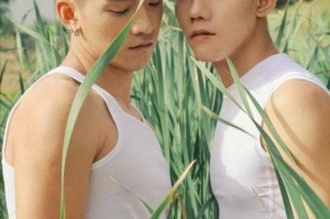 亚洲男同Gay无套激情视频-高清实拍真实故事合集