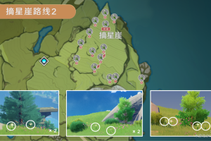 《原神》塞西莉亚花采集位置大全 塞西莉亚花刷新时间及路线图