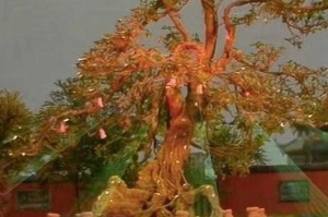 五庄观的两个童子叫什么名字？清风明月身份揭秘