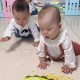 三三爬爬秀：萌娃爬行大赛精彩瞬间与成长记录