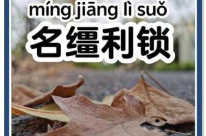 什么缰绳词语？详解缰绳相关词汇大全