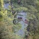 猴群自然孕育全记录：荒野繁衍的原始奇观
