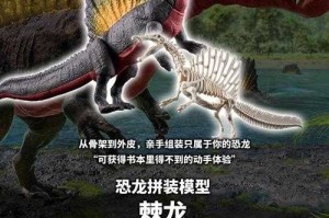 亚洲棘龙科：远古巨兽的演化历程与独特特征解析