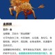 五大神兽中麒麟是最强的吗？麒麟实力解析与神兽排名对比