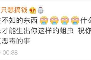 dc老师微博名怎么优化搜索排名？