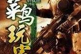 《菜鸟玩家的德军游戏秘籍》