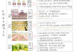 魔法耕地系统全攻略：普通／水耕地的构建与种植全流程解析