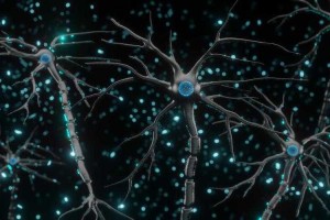 镜像认知解码：神经美学视角下的自我意识重构研究