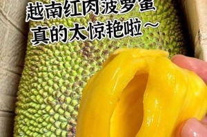 菠萝蜜视频在线观看大全高清：精彩内容不断