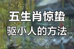 如何有效应对惊蜇节期间的打小人现象？