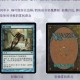 万智牌带标是什么意思？新手必看的万智牌标记解析