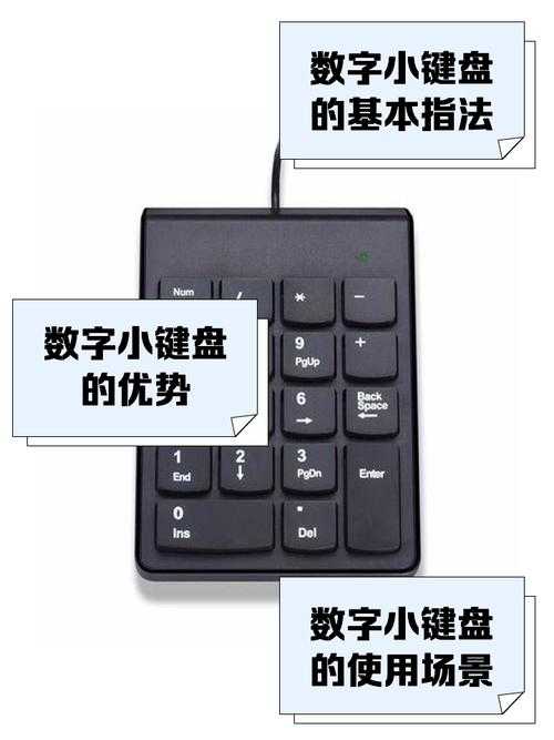 如何提升小键盘数字输入的速度技巧?