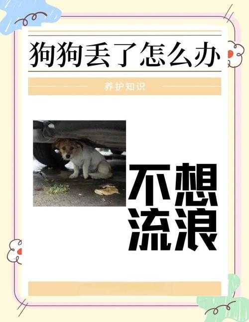 走丢狗找回渠道dd373