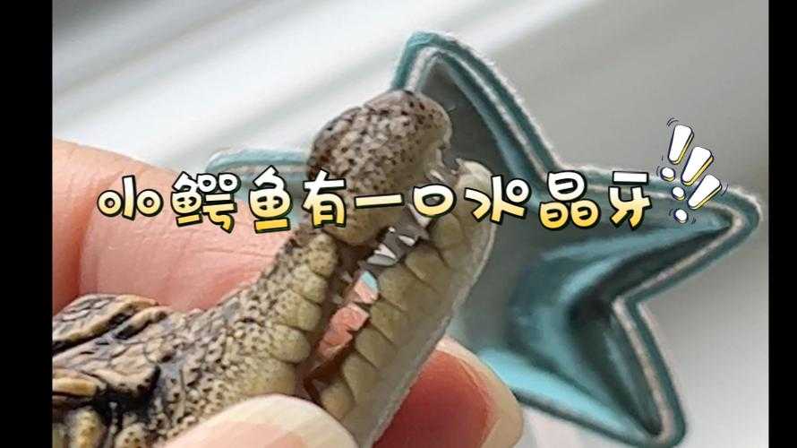 揭秘：哪些动物的牙齿能自然修复？鲨鱼鳄鱼上榜
