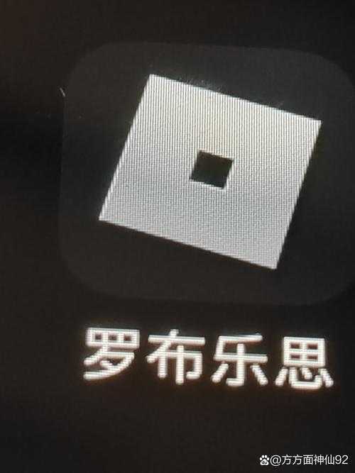 罗布乐思为什么进不去了
