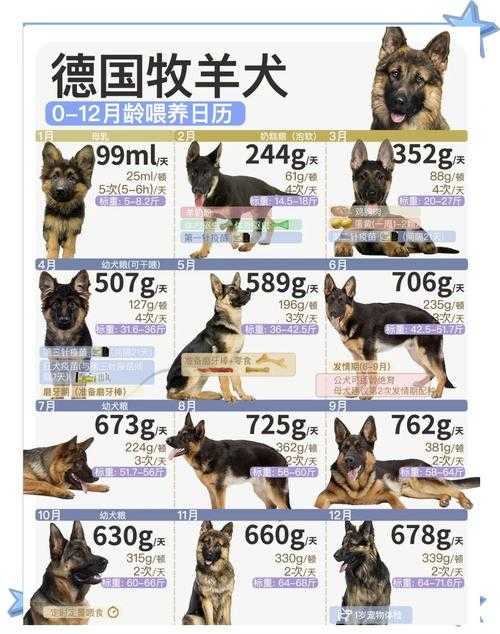 萌宠特遣队新手必问：宠物怎么培养？