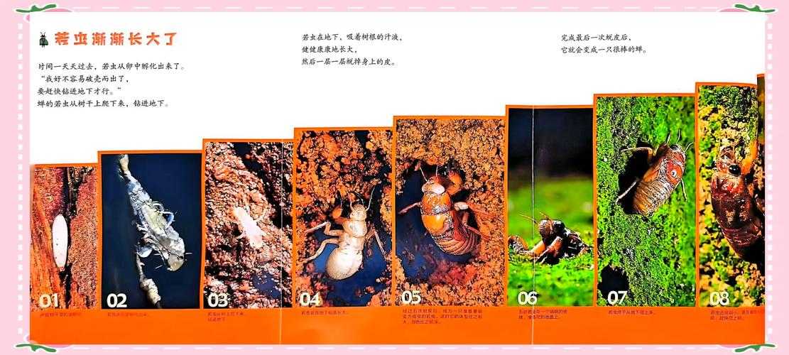 生命奇迹：探索自然与人类创造的不可思议现象