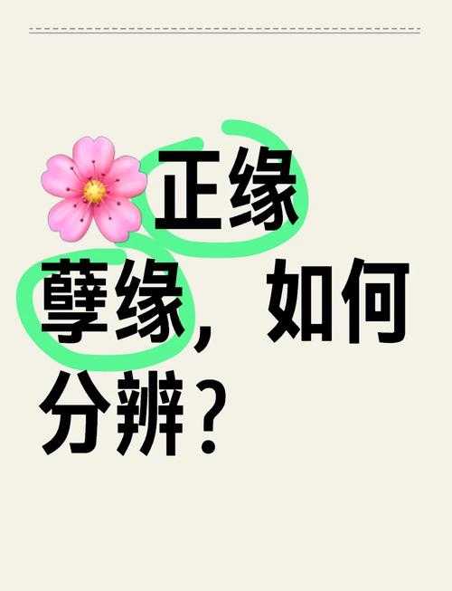 正缘与孽缘的相遇:如何分辨生命中的真爱与过客