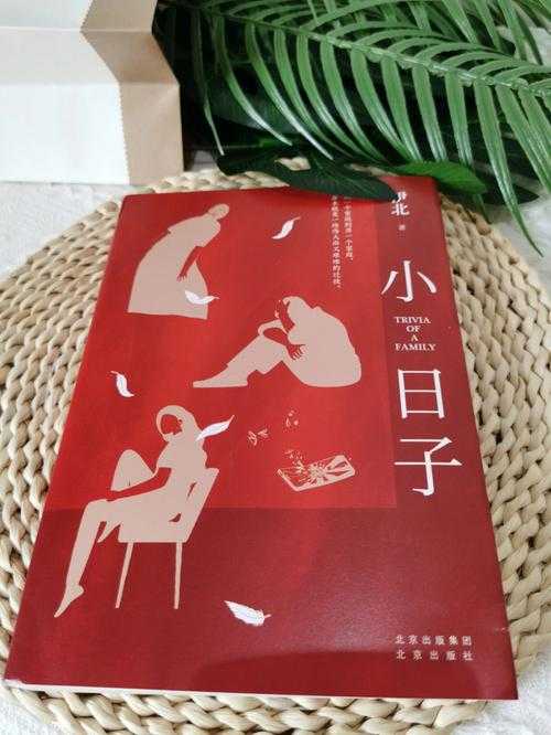 《七零红火小日子:穿越70年代的温馨日常与奋斗人生》