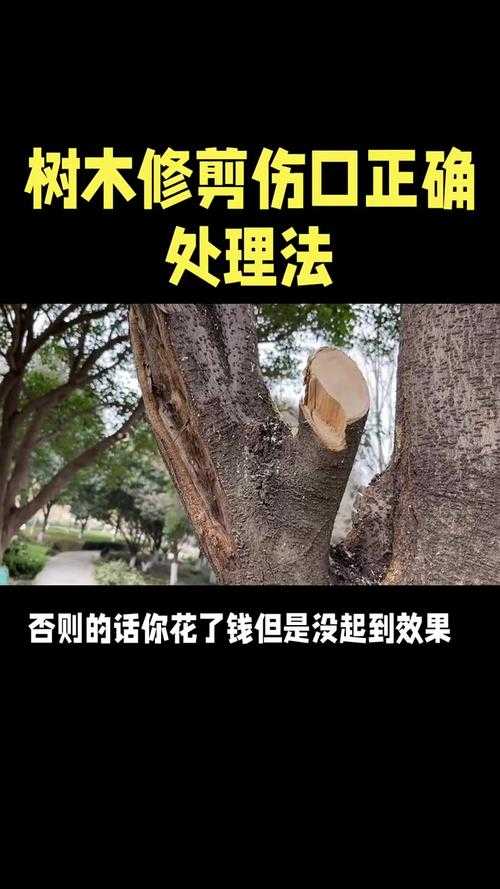 如何合法处理公路旁的树木砍伐问题?