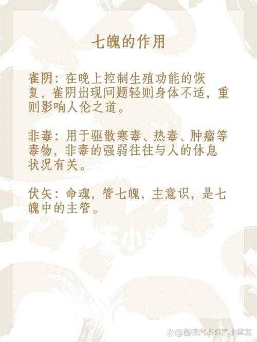 七魂是哪七魂分别是谁?详细解析七魂名称与来历