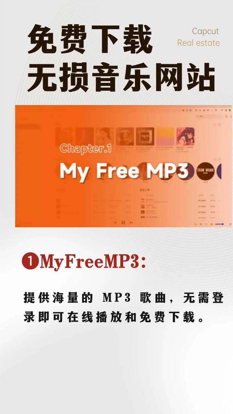 《全网无损音乐下载:免费高品质音乐资源一站式获取》