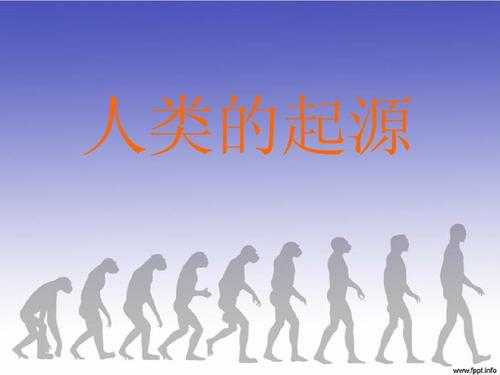 人类最终试炼：起源、挑战与终极意义全解析