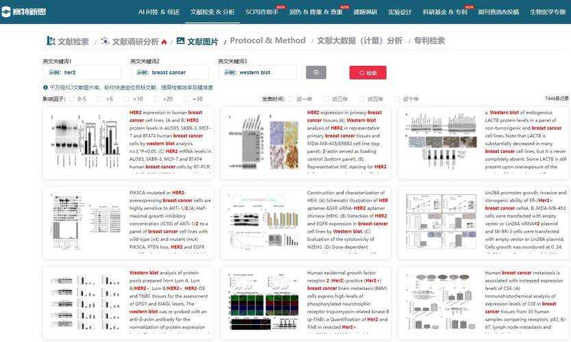 一起辅助网 - 专业辅助工具与资源一站式平台