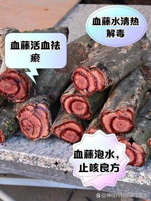 万灵血珠是什么？揭秘万灵血珠的来历与作用