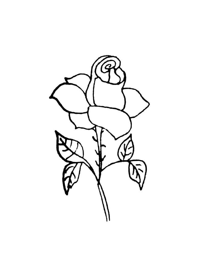 一笔画玫瑰花教程抖音爆火手残党也能秒会的超简单画法