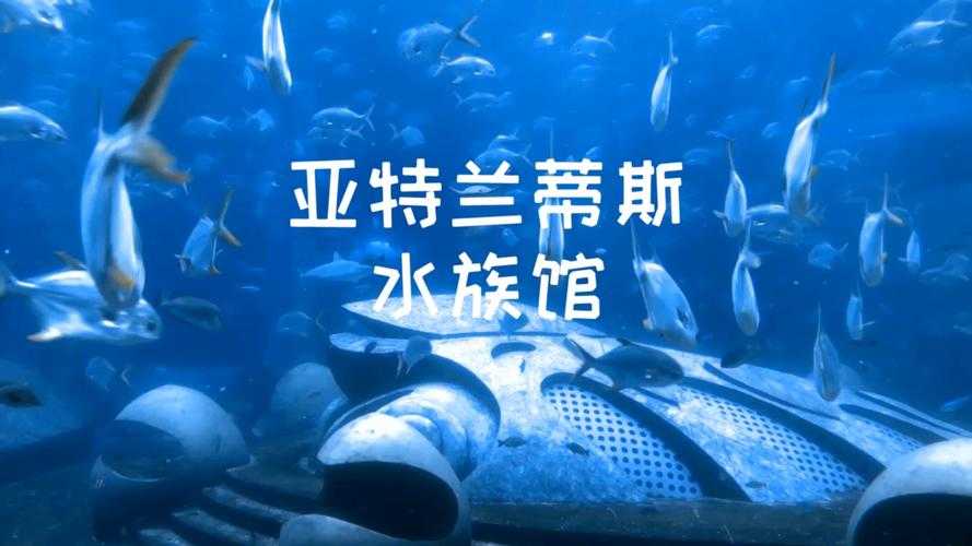 三亚亚特兰蒂斯死亡事件最新进展:溺亡事故与安全警示