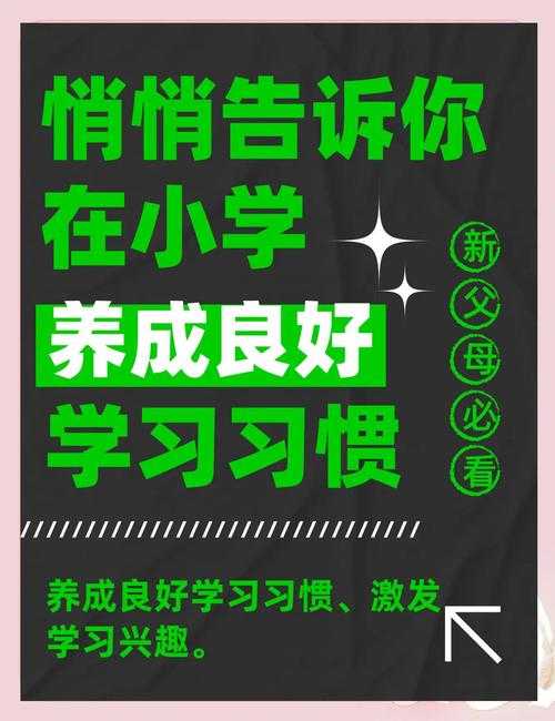 学生学有优教：提升学习效率的优质教育指南
