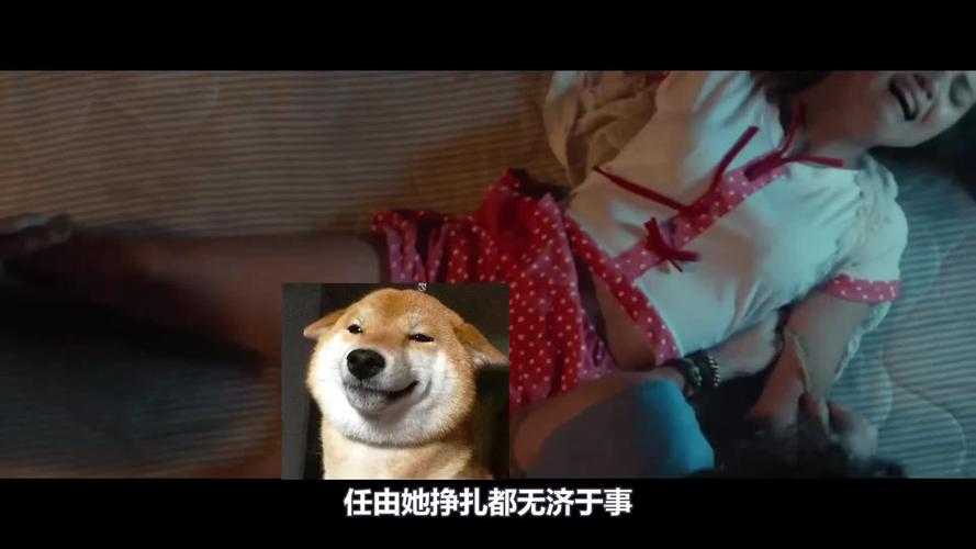 人皮交易完整版高清在线观看-真实案件改编惊悚电影