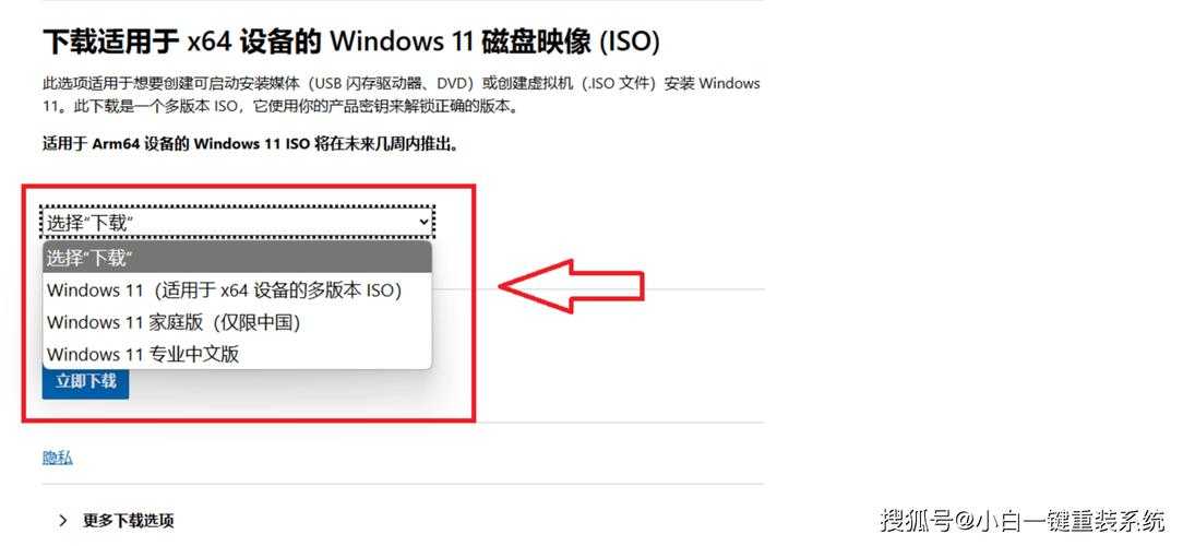 一键装机Win11系统纯净版下载 - 官方原版ISO镜像免激活