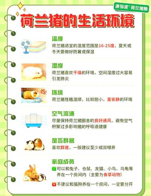 养猪必备知识：从入门到精通的科学养殖指南